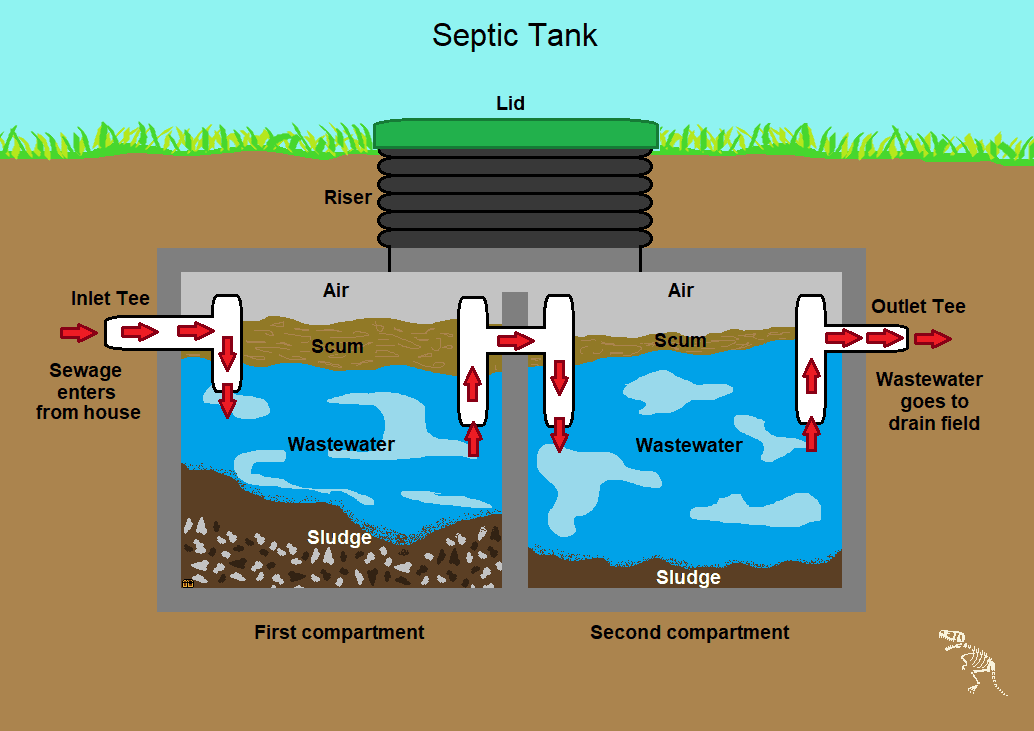 A diagram of a septic tank